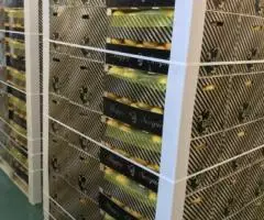 Продаем лимоны - 3