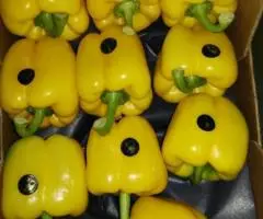 Продаем перец из Испании - 2
