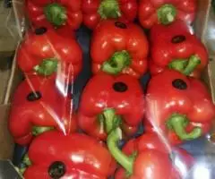 Продаем перец из Испании - 3