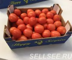 Продаем томаты - 3