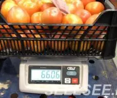 Продаем томаты - 4