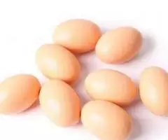 Яйцо искусственное подкладное куриное утиное пасхальное - 2