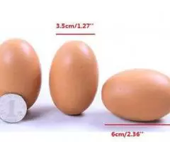 Яйцо искусственное подкладное куриное утиное пасхальное - 3