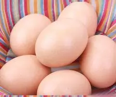 Яйцо искусственное подкладное куриное утиное пасхальное - 4