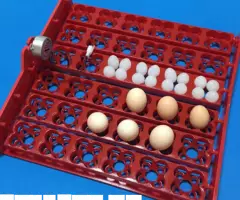 Автоматические лотки инкубатор яиц 36 144 штуки - 2