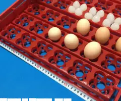 Автоматические лотки инкубатор яиц 36 144 штуки - 3