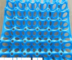 Лотки гусиные яиц инкубатор лоток гуси яйцо - 4