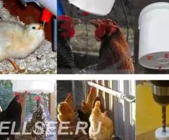 Ниппельная поилка для птиц и животных - 4