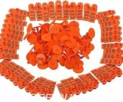 Ушные бирки номерные, метки для коров, овец, свиней - 4