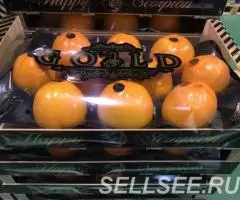 Продаем хурму - 2