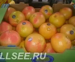 Продаем грейпфрут из Испании - 3