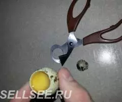 Ножницы для перепелиных яиц - 2