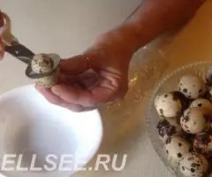 Ножницы для перепелиных яиц - 3