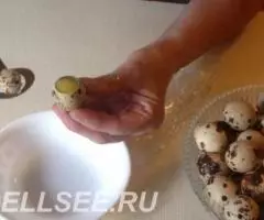 Ножницы для перепелиных яиц - 4