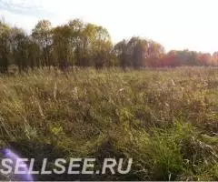 Продаю участок 30-соток д. Лобково Владимирская обл. ... - 2