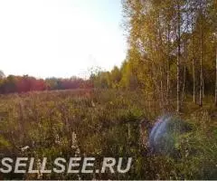 Продаю участок 30-соток д. Лобково Владимирская обл. ... - 3