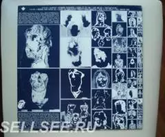 The Rolling Stones. Emotional Rescue. - 2