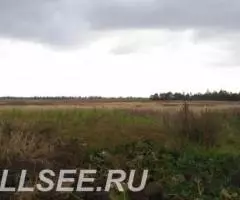 Участок 54 сотки, в д. Соколово, с коммуникациями - 2