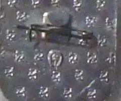 ВДПО знак - 2