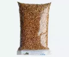 Корм-коктейль измельчённый гаммарус и мотыль - 4