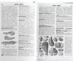 Новая иллюстрированная энциклопедия - 3