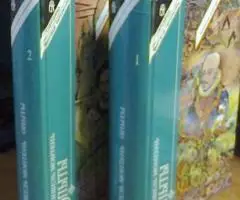 Основное произведение Монтеня - 2