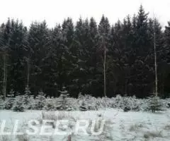 Участки от 13 соток, ИЖС, на опушке СКАЗОЧНОГО ЛЕСА - 3