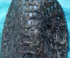 Графин - Дракон и рыбы - 2