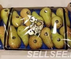 Продаем груши из Испании - 4