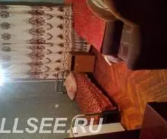 Сдам трехкомнатную квартиру - 3