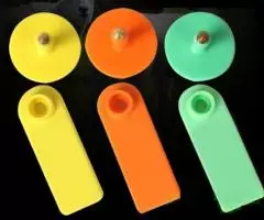 Бирки чистые теги метки коровы овцы козы олени - 2