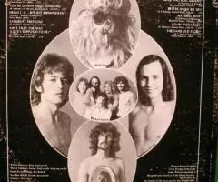 Пластинка виниловая Blue Cheer - Blue Cheer - 2