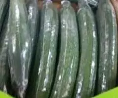 Продаем огурцы из Испании - 3
