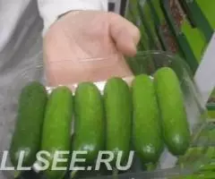 Продаем огурцы из Испании - 4