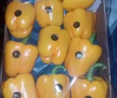 Продаем перец - 4