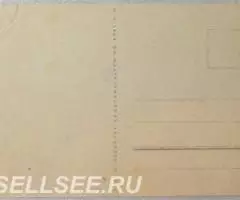 Девочка и попугай - Германия - 2