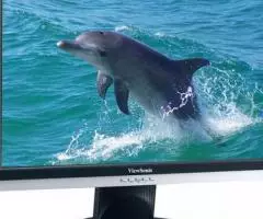 ViewSonic VA2016W 20 - 3