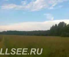 Семь гектар рядом с посёлком - 3