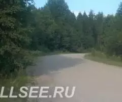 Семь гектар рядом с посёлком - 4