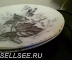 ДВЕ ТАРЕЛКИ Т-ва М. С. КУЗНЕЦОВА въ будахъ МАЛИНА до 1917г. - 3