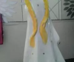 ФАРФОР СССР. СНЕГУРОЧКА. Полонное. - 3