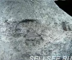 Топорик ЗиК 1959 г на ясене с чехлом - 2