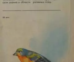 Болезни певчих и декоративных птиц - Бессарабов - 2