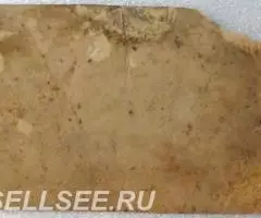 В новый рабочий день - коллективный снимок - 2