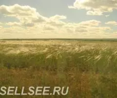 Участок 6 сот. ИЖС - 4