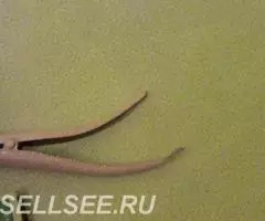 Крокодильчики для волос разные - 3