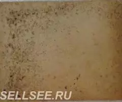 Отцы и дети коллективный снимок - 2