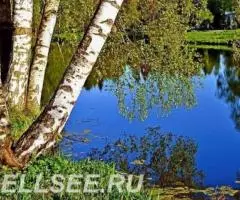 Это не 20 соток это 10 гектар земли под поместье - 2